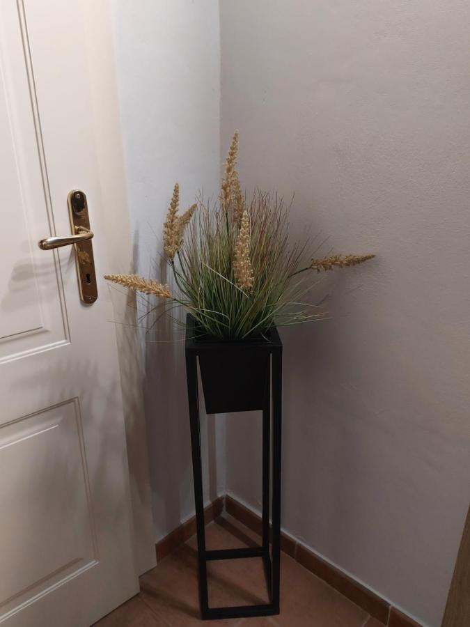 فندق Dodo'S House فيرّارا المظهر الخارجي الصورة